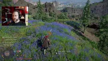 Bear Punches Lady
