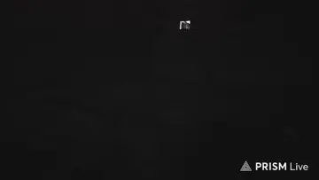 jaja
