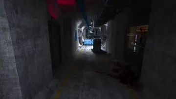 LITTLE PIG SURVIVED BIG PIG DIDNT