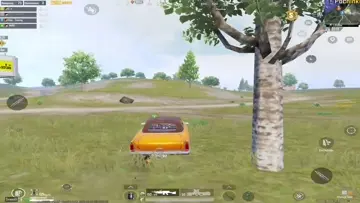 يا مش طبيعية
