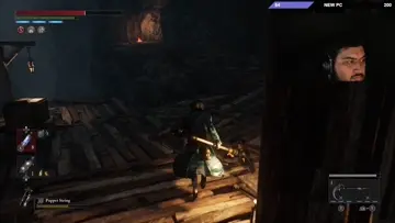 Bait