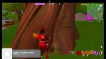 snipes