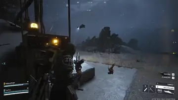 Playful Leaper
