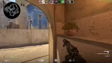 3k de rucula3
