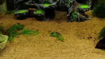 He really said: "This spinach is MINE!" 😂