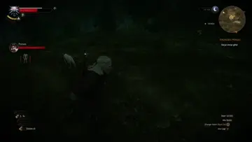 ayın ne işi var :D