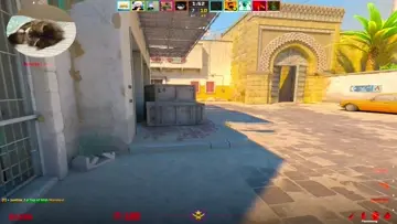 Headshot Mid