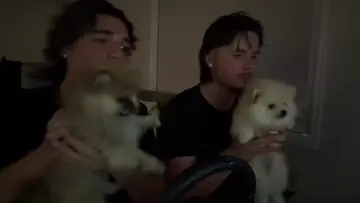 ..