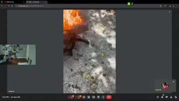 R.I.P Stream Chair