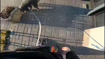 Potka sie rozdupcyła
