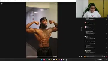 insano