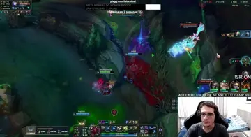 GAP TODOS
