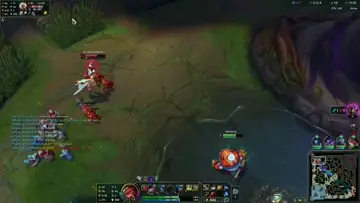 supp carry