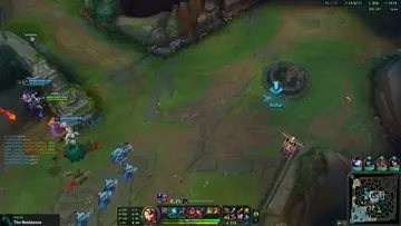 insec