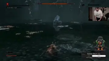 guardian ape core