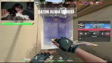 wallbangg