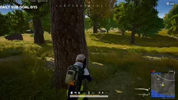 Big swing