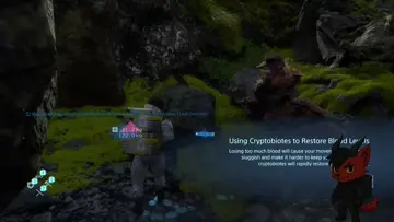 Thanks For The Jerk Lacky!
