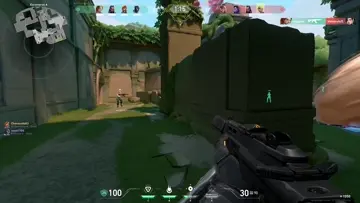 xd