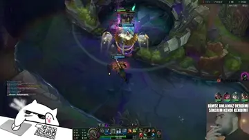 OYYY