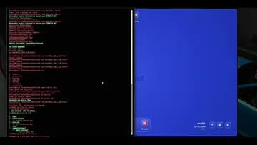Zenith/Nexus Video Reaction