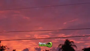 sun9