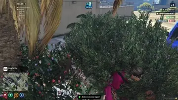 ok