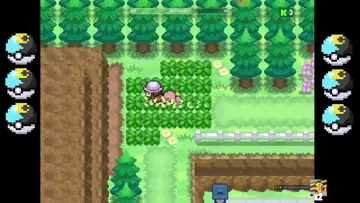 SHINY!!