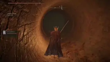 XD