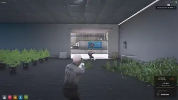 ____