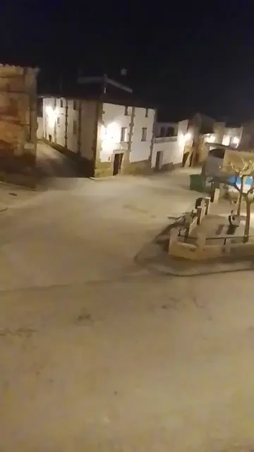 gatos en elpueblo