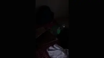 clips