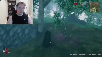 Is THIS the Tallest you can build in Valheim??
