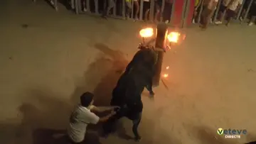 Pillada