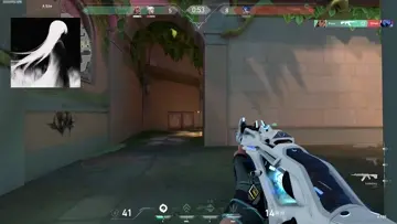 aynn