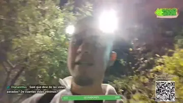 Vidas