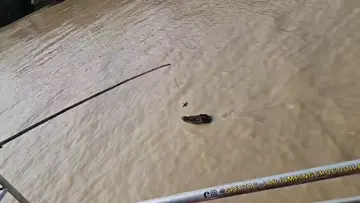 jumping croc