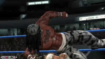 end matt career