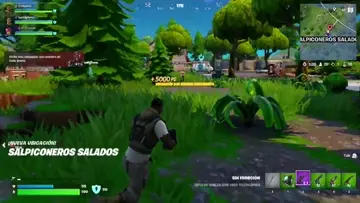 Futura promesa del gaming
