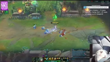 xd