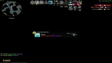Maxsi Gameplay