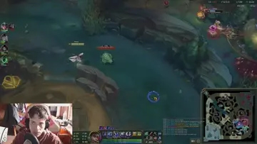xdd