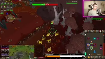 Maggot king first kill!