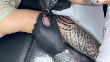lines