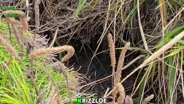 snake peppah