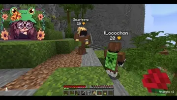 xd 3