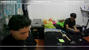 Y QUE HACEN CUANDO ESTAN SOLOS