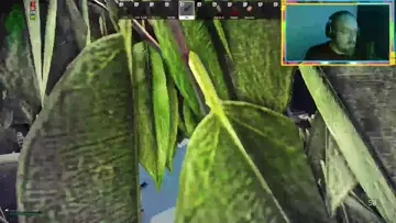 I pulled a peanut!
