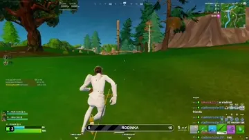 Vojtikuv snipe