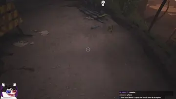 pobre gato